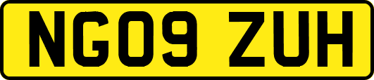 NG09ZUH