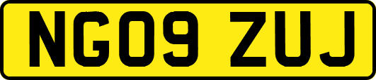 NG09ZUJ