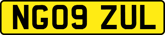 NG09ZUL