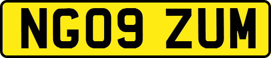 NG09ZUM