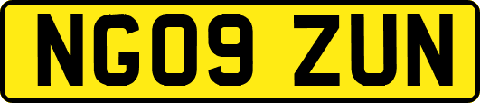 NG09ZUN