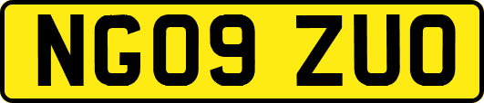 NG09ZUO