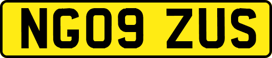 NG09ZUS