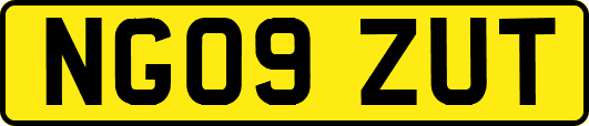 NG09ZUT