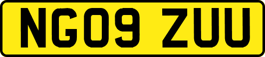 NG09ZUU