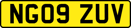 NG09ZUV