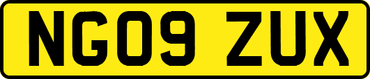 NG09ZUX