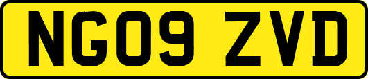 NG09ZVD