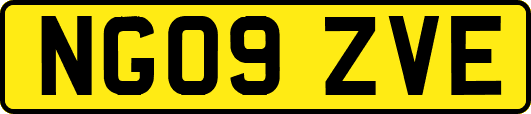 NG09ZVE