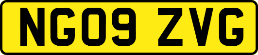 NG09ZVG