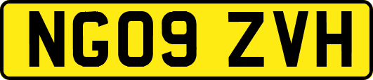 NG09ZVH