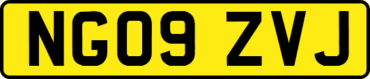NG09ZVJ