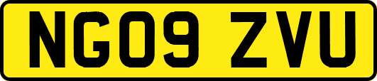 NG09ZVU