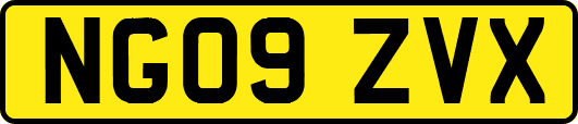 NG09ZVX