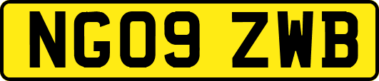 NG09ZWB
