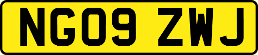 NG09ZWJ