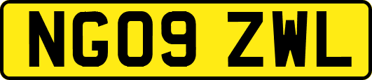 NG09ZWL