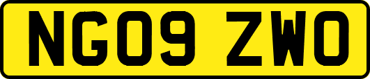 NG09ZWO