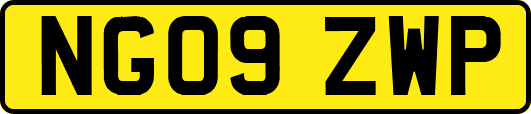 NG09ZWP