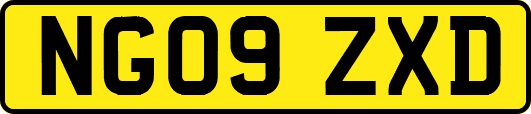 NG09ZXD
