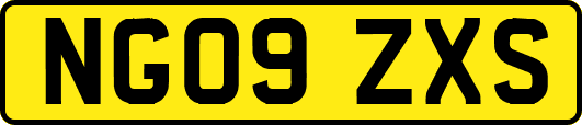 NG09ZXS