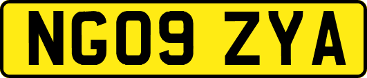 NG09ZYA