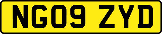 NG09ZYD