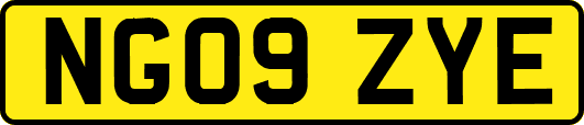 NG09ZYE