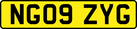 NG09ZYG