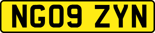 NG09ZYN