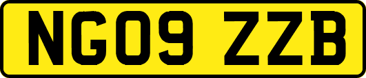 NG09ZZB