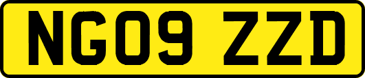 NG09ZZD