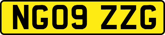 NG09ZZG