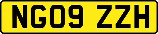 NG09ZZH