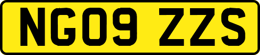 NG09ZZS