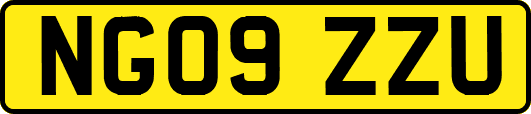 NG09ZZU