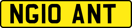 NG10ANT