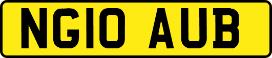 NG10AUB