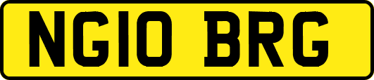 NG10BRG