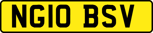 NG10BSV