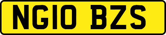 NG10BZS