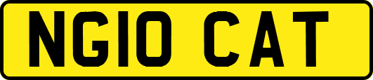 NG10CAT
