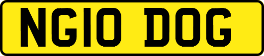NG10DOG