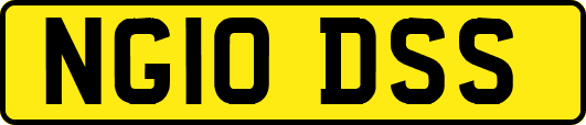 NG10DSS