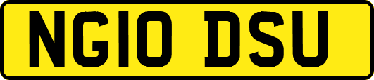 NG10DSU