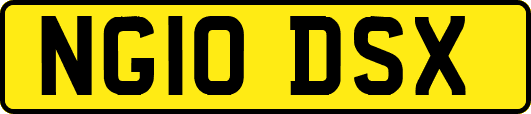 NG10DSX