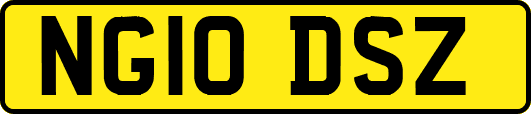 NG10DSZ