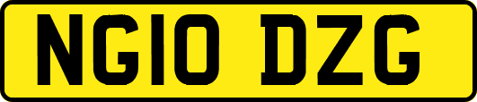NG10DZG