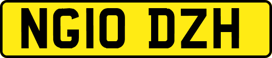 NG10DZH