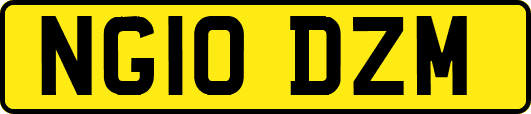 NG10DZM